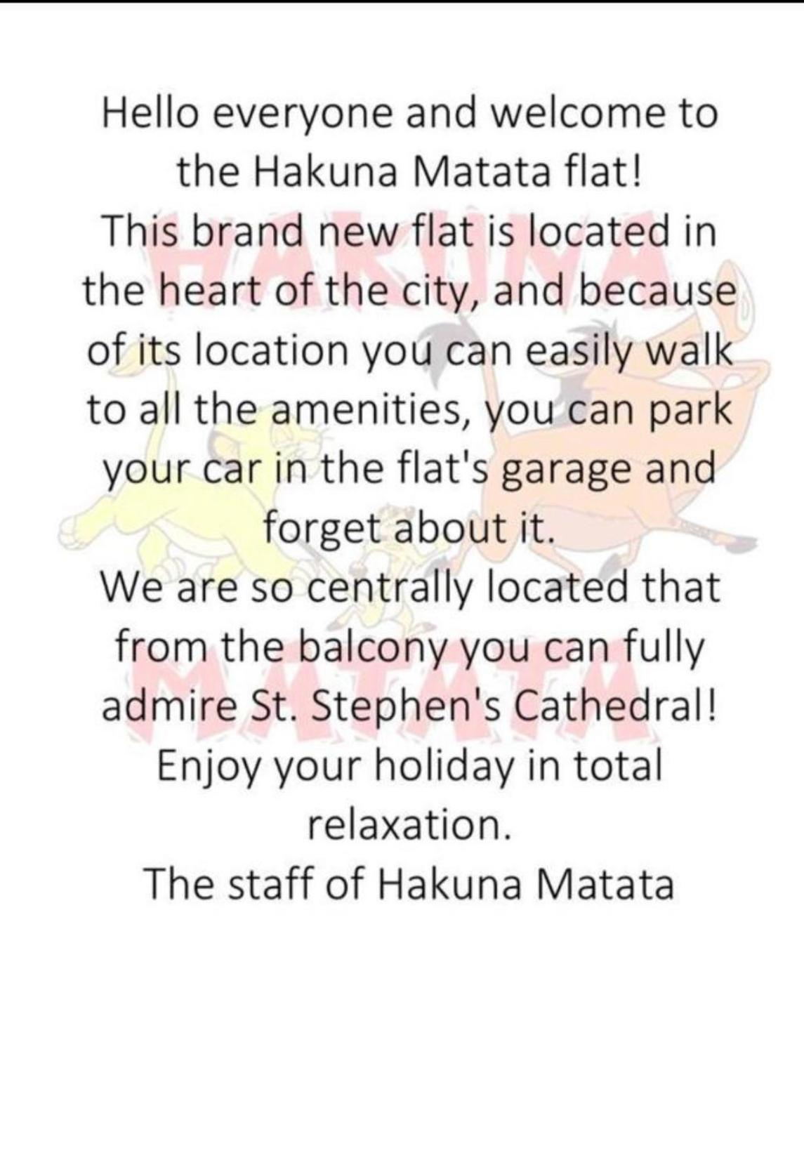 Appartamento Hakuna Matata Shkodër エクステリア 写真